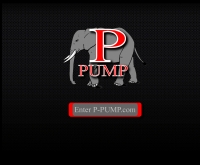 พี-ปั้ม - p-pump.com