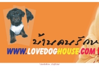บ้านคนรักหมา - lovedoghouse.com