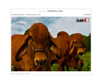 แคทเทิลฟอร์ยูดอทคอม - cattle4u.com