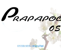 ร้านขายยาประภาภูมิโอสถ - prapapoom.com