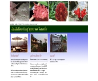 ขุนยวม รีสอร์ท - peingjai.com