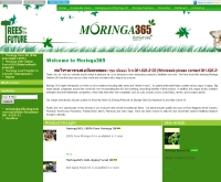 ห้างหุ้นส่วนสามัญ นีโอโมริงก้า - moringa365.com