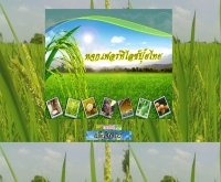 ห้างหุ้นส่วนจำกัด เฟอร์ทิไลซ์ ปุ๋ยไทย  - thaifertilize.com