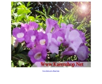 กะเหรี่ยงชอป - karenshop.net