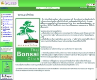 ชมรมบอนไซไทย - bonsai.pantown.com