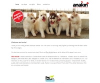 Anakin Siberians - anakinsiberians.com