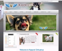 Kaepruk Chihuahua | แคพฤกษ์ ชิวาวา ขอนแก่น - kaeprukchihuahua.com/