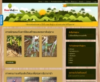 สงขลาพันธุ์ยาง - songkhlananrubber.com