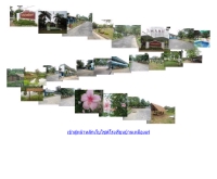 โรงเรียนบ้านเหมืองแร่ - banmuangrae.sc.cmarea3.go.th